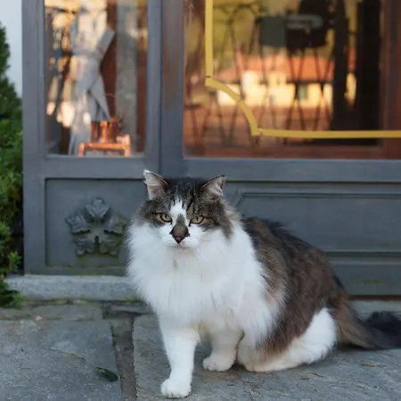 Giulietta E Romeo - 3*