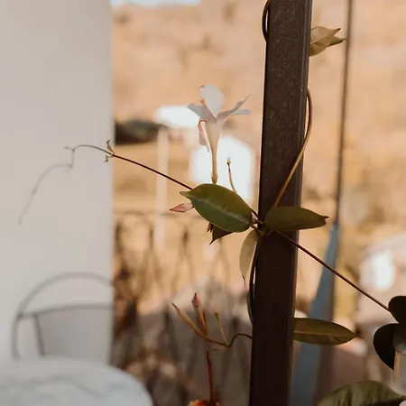 Giulietta E Romeo - 3* Cossogno